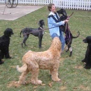 Cathy Shade's avatar
