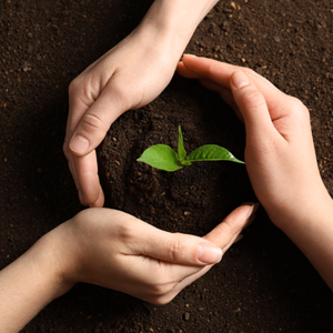 Yashodhara Rajulapati's avatar