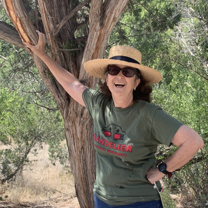 Susan Bonnell's avatar