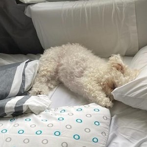 Stephen Sangil's avatar