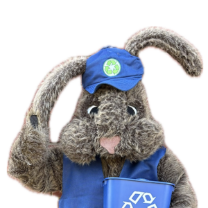 Rocky The Resourceful Recycling Rabbit's avatar