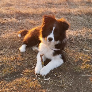Adela Cristea's avatar