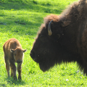 Erin Nelson's avatar