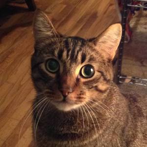 Ramona White's avatar