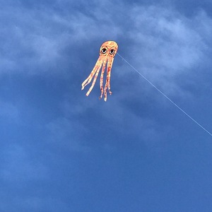 Brittney Halstrom's avatar