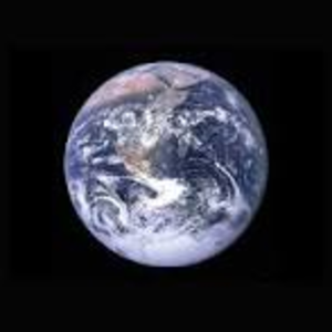 SCOTT STEPP's avatar