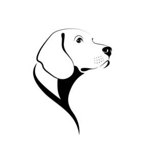 Breno Jung's avatar