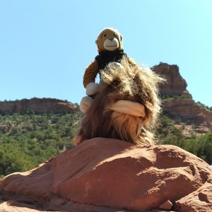 Kimberly Seeba's avatar