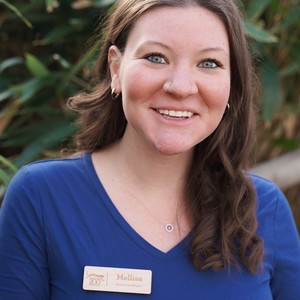 Mellisa Smith's avatar