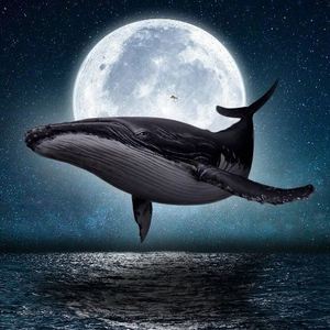 Tatsuo Ueoka's avatar