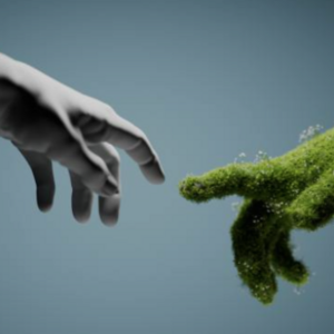 Shrishti Prajapati's avatar