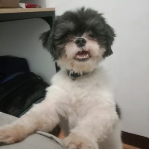 Sarah Jane Reyes's avatar
