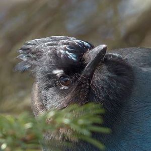 Laura Drath's avatar