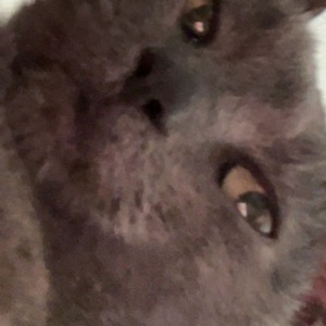 Sasha Marian's avatar