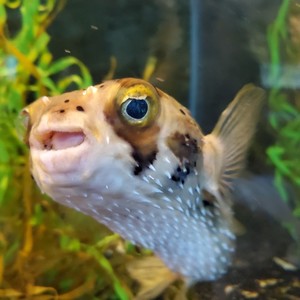 Morgan Bailey's avatar