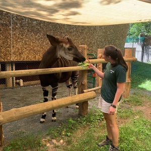 Julia Carter's avatar