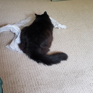 Barbara Mehne's avatar