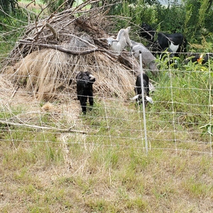 Terri Savoie's avatar