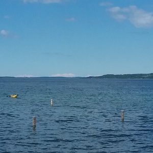 John Ciccarelli's avatar