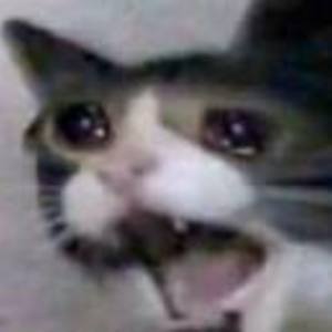 Liam Kunce's avatar