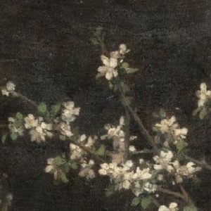 Teagan Wagar's avatar