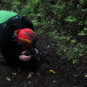 Mario Villafuerte Carrillo's avatar