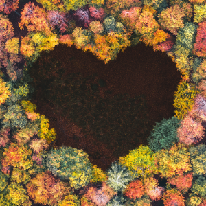 Andrea Pfeffer's avatar