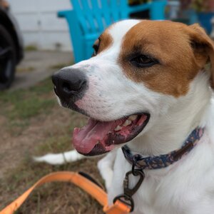 Carol Trent's avatar