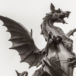 Fabrizio Riva's avatar