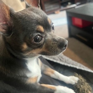 Pam  Hinson's avatar