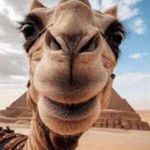 Maureen Ashburn's avatar