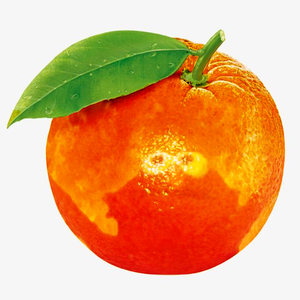 Teo Patrosio's avatar