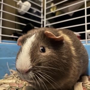 Courtney McHugh's avatar