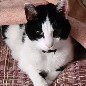 Megan wert's avatar