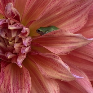 Aubrey Marovich's avatar