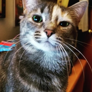 Jean Neubauer's avatar