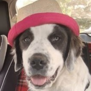 Marie Tench's avatar
