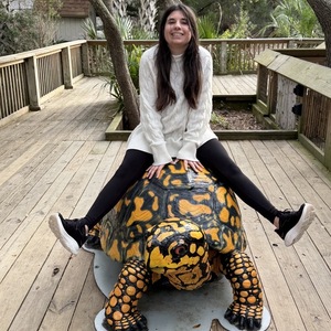 Alex Trifaro's avatar