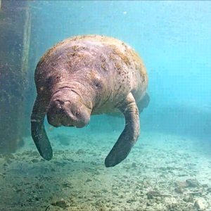 Adrienne Miskiewicz's avatar