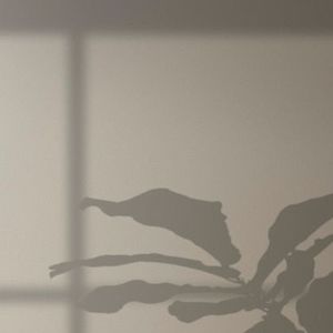 Eva Chronister (102)'s avatar