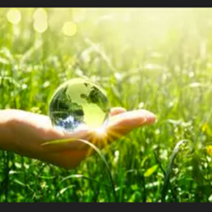 Angela Dahlstrom's avatar