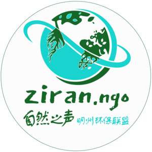 ZIRAN NGO's avatar
