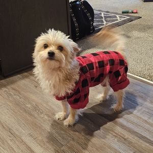 Brandon Rathbun's avatar