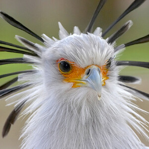 Mike Libbey's avatar