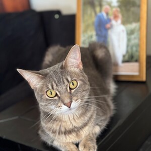 Heather Harmann's avatar