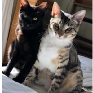 Lisa Brunelle's avatar
