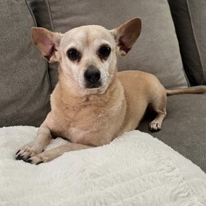 Jennie Yager's avatar