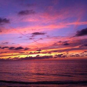 Michelle Stevens's avatar