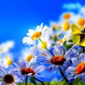 Kathy Jackson's avatar