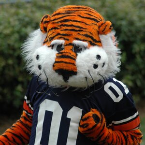 Yash Patel's avatar